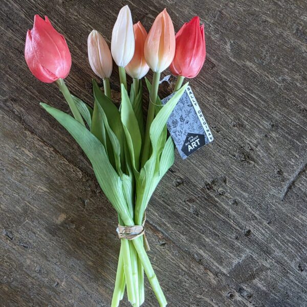 Tulpen boeket 3 kleuren van Sally original