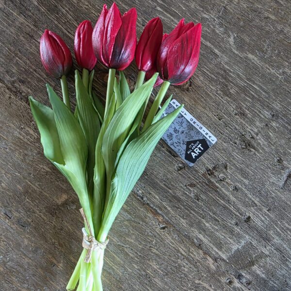 Tulpen boeket rood van Sally Original