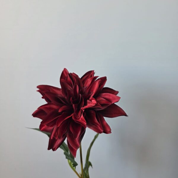 Dahlia rood - 52 cm
