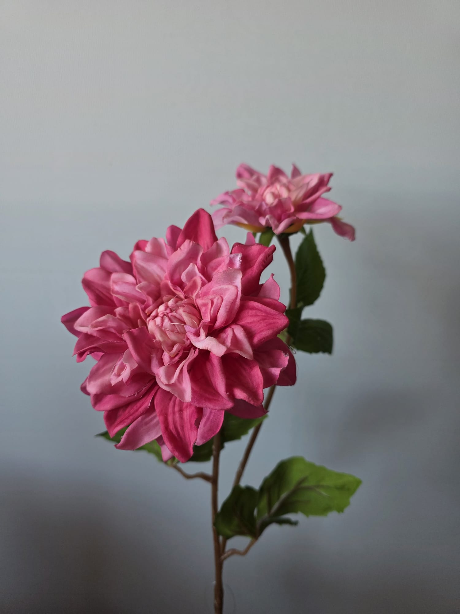 Silk Dahlia Pink real Daan Kromhout 60cm 1 - Fleurig en Mooi