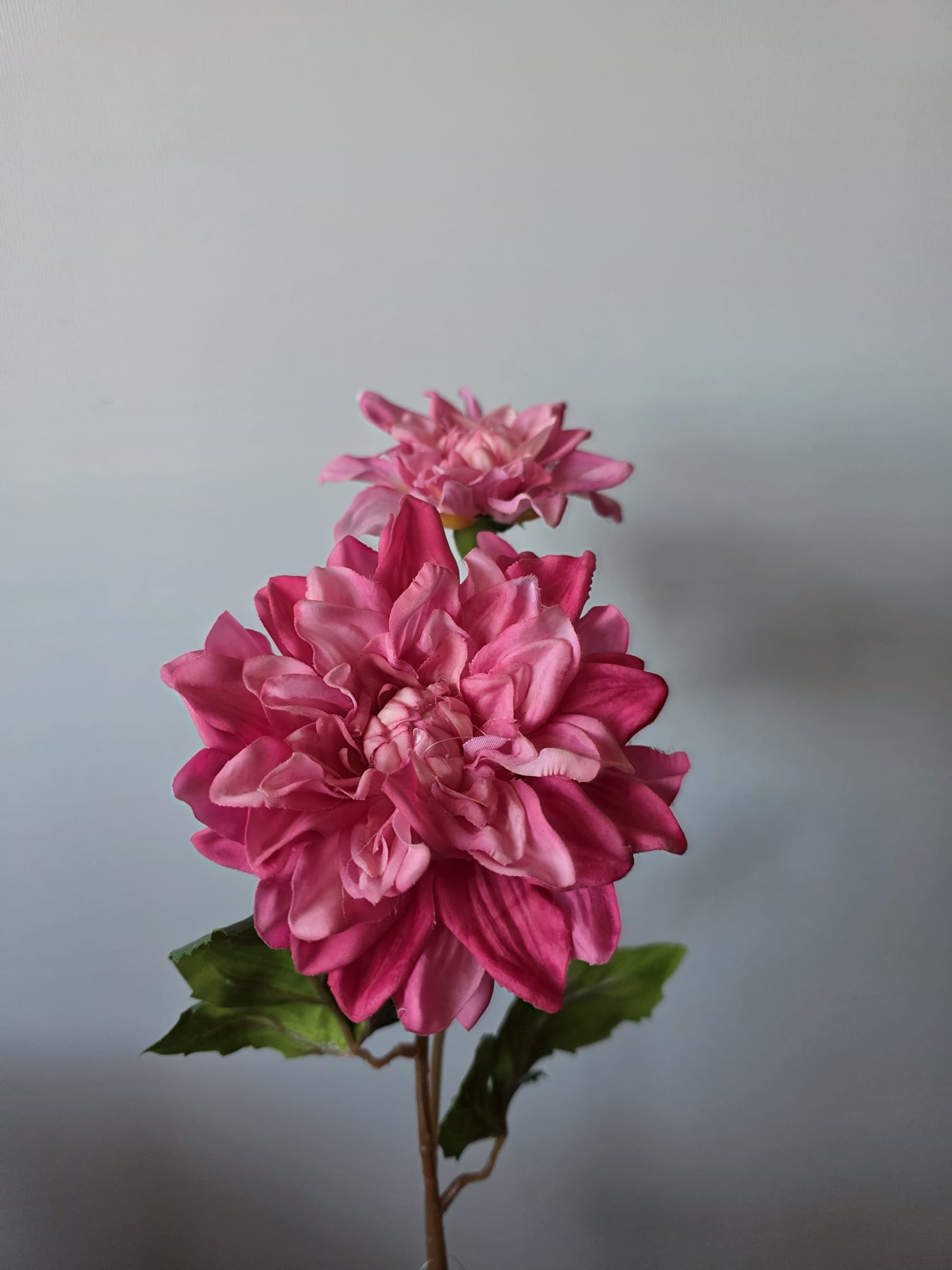 Silk Dahlia Pink real Daan Kromhout 60cm - Fleurig en Mooi