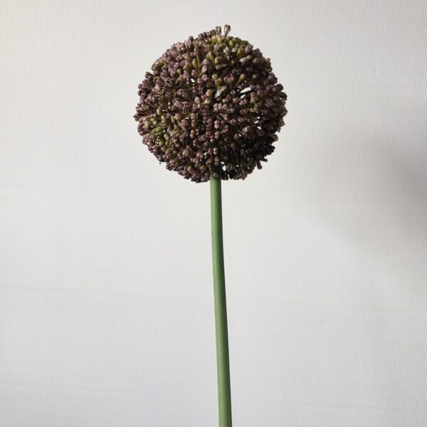 Kunstbloem Allium blauw/paars – 60 cm