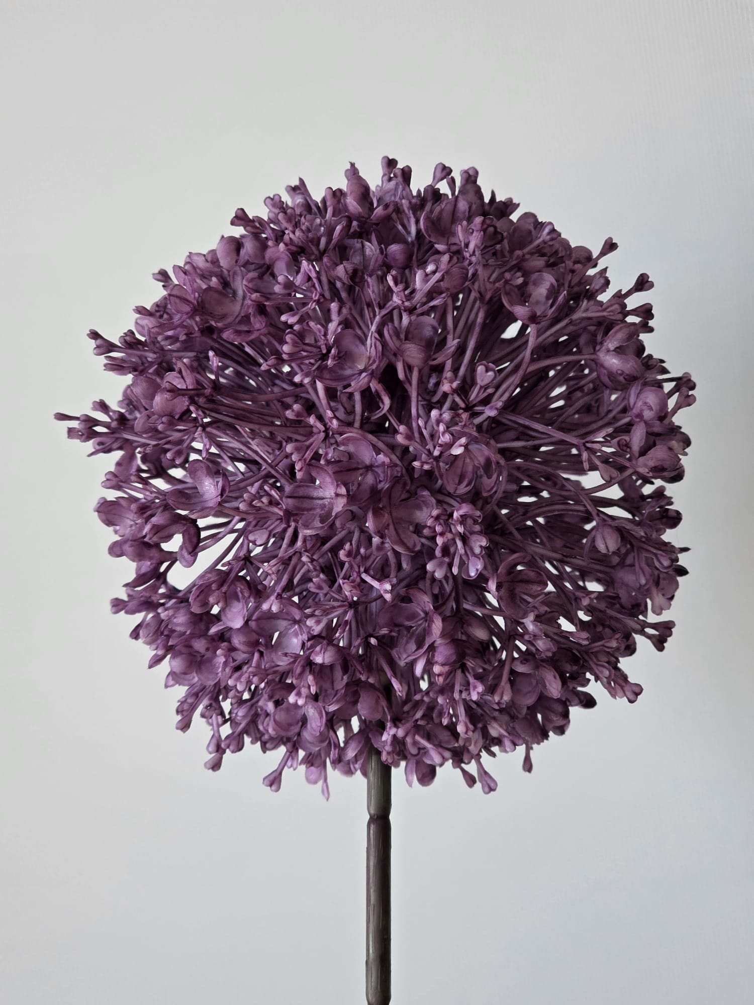 Allium paars groot 72cm - Fleurig en Mooi