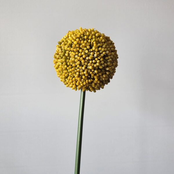Kunstbloem Allium geel – 70 cm