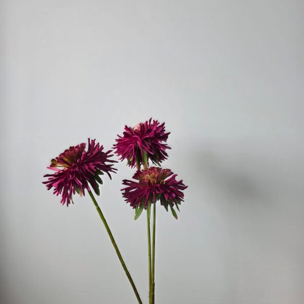 Kunstbloem Zinnia Duplica Paars – 3 bloemen – 65 cm