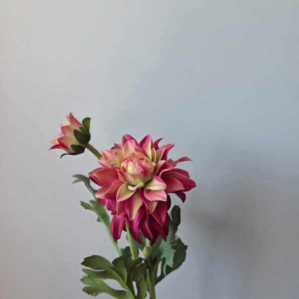 Dahlia fuchsia wit kunstbloem met knop – 52 cm