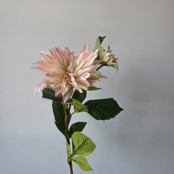 Dahlia lichtroze grote bloem met knop – 75 cm