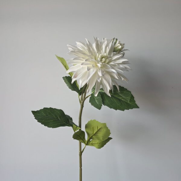 Dahlia wit grote bloem met knop – 75 cm