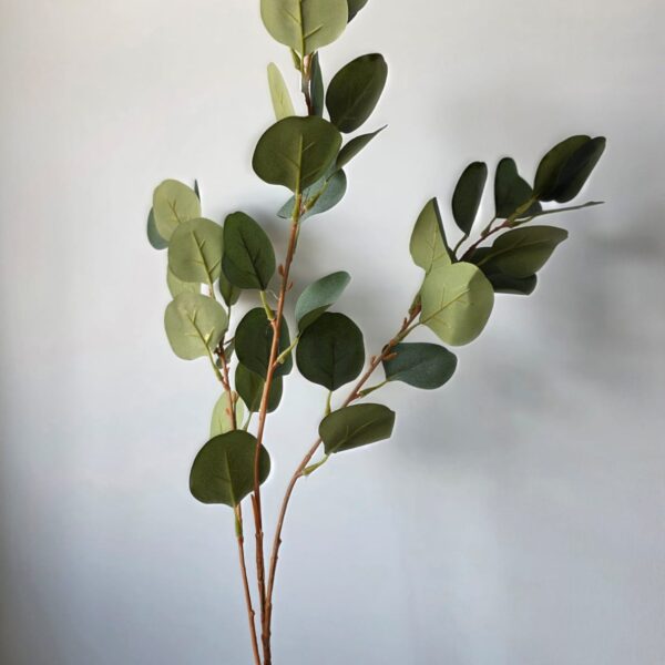 Eucalyptus groen groot - 81 cm