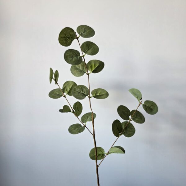 Eucalyptus groen middel- 55 cm