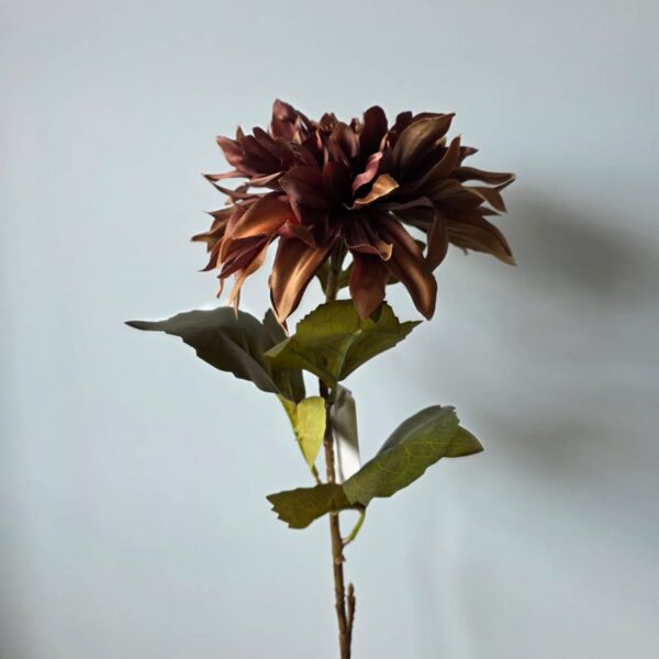 Dahlia bruin - 74 cm