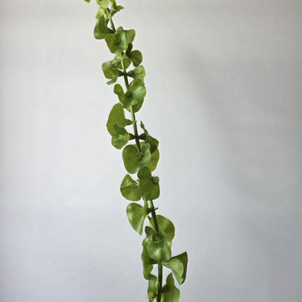 Moluccella groen kunstbloem – 90 cm