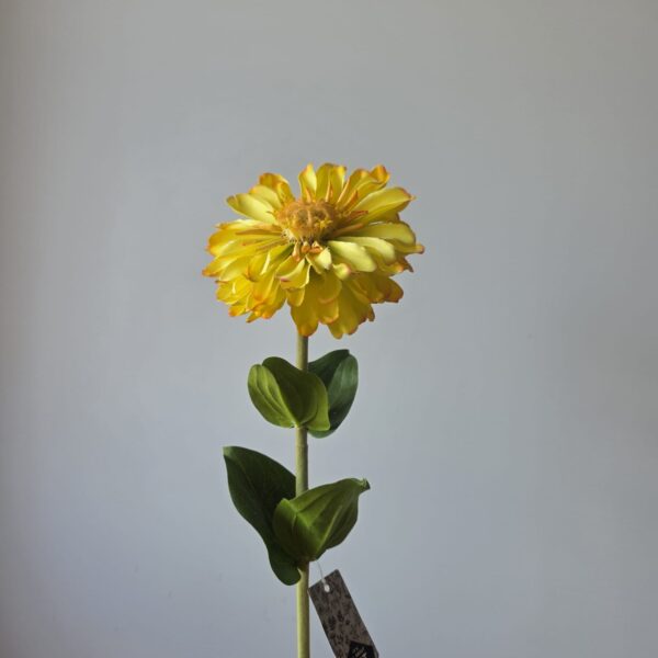 Zinnia geel kunstbloem – 54 cm