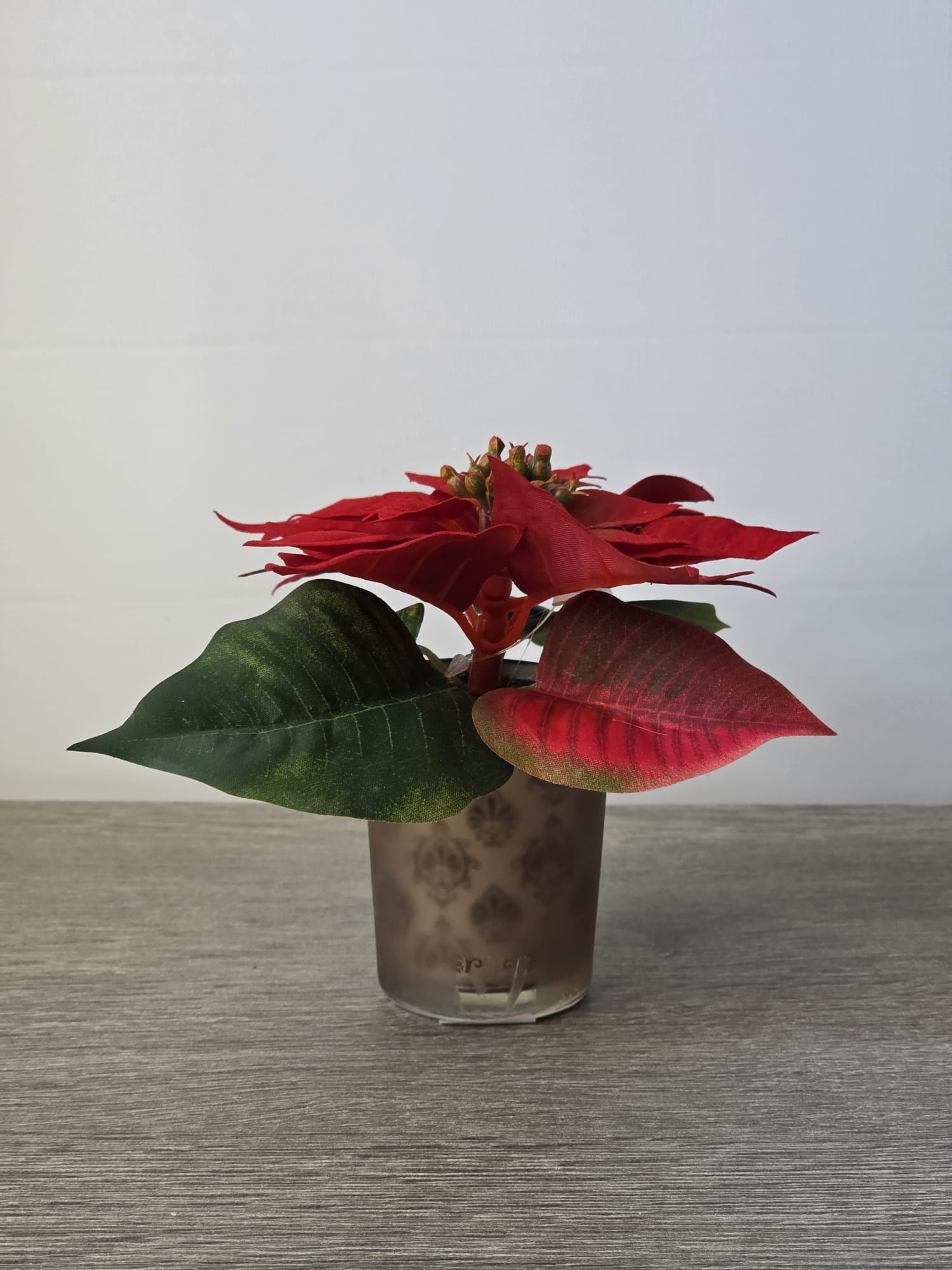 poinsettia met thelichtglas the wood box - Fleurig en Mooi